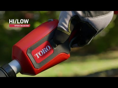 Cabezal inalámbrico intercambiable Toro para accesorios 60V