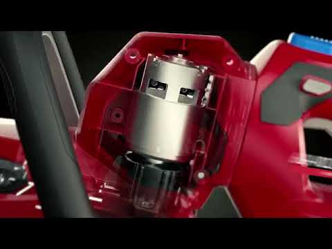 Cortasetos inalámbrico Flex-Force Power System™ de 60V (solo herramienta)