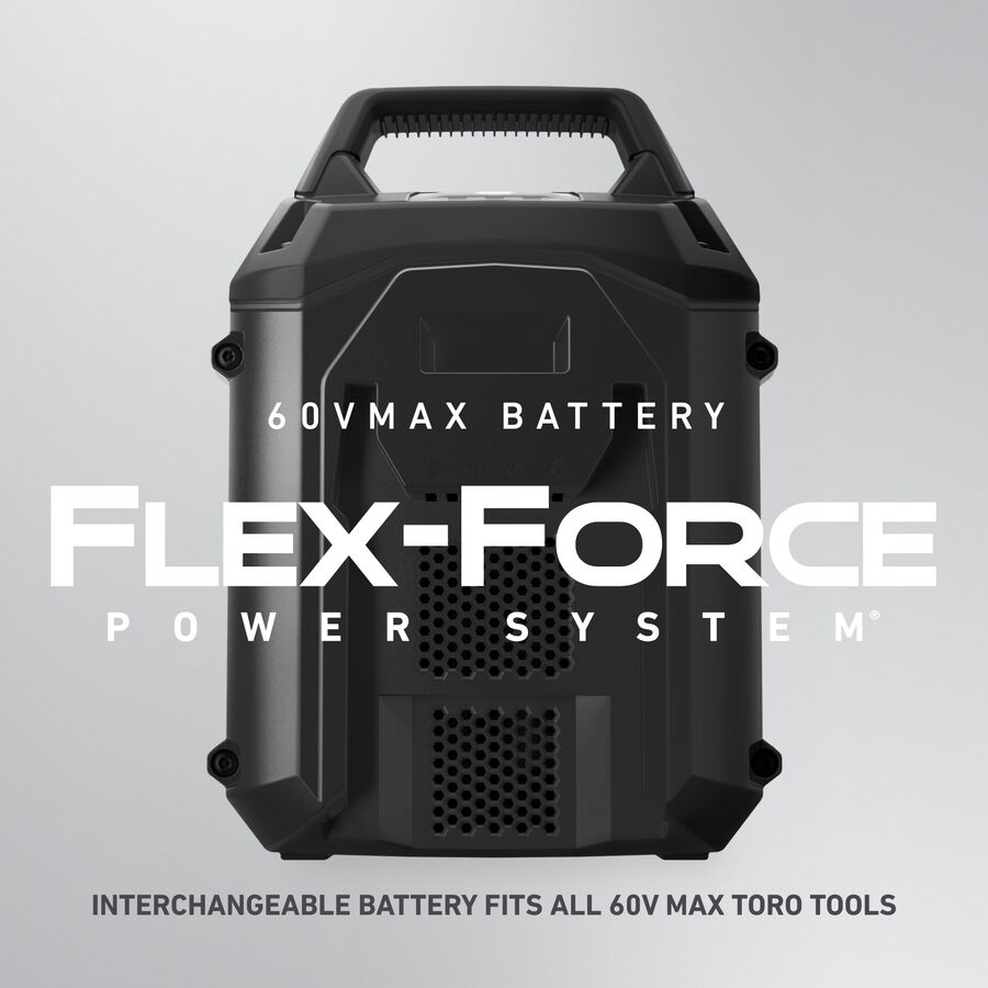 Batería de iones de litio Flex-Force 60 V máx. diferentes corrientes