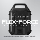 Batería de iones de litio Flex-Force 60 V máx. diferentes corrientes