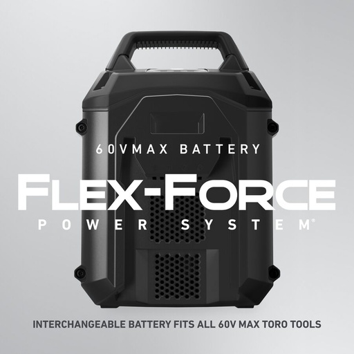 Batería de iones de litio Flex-Force 60 V máx. diferentes corrientes