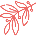 Insecticidas