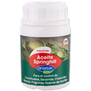 ACEITE SPRINGHILL 100 CC