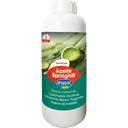 ACEITE SPRINGHILL 1 LT