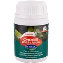 INSECTICIDA JARDÍN HONGOS 250 CC