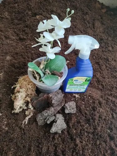 SUSTRATO ESPECÍFICO ORQUIDEA 200 G