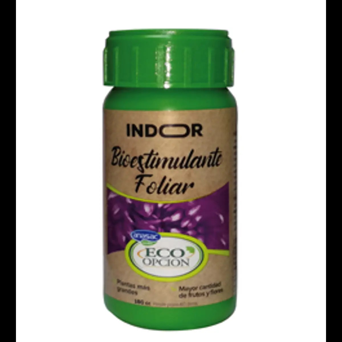 BIOESTIMULANTE GROW INDOOR (EX RADICULAR)