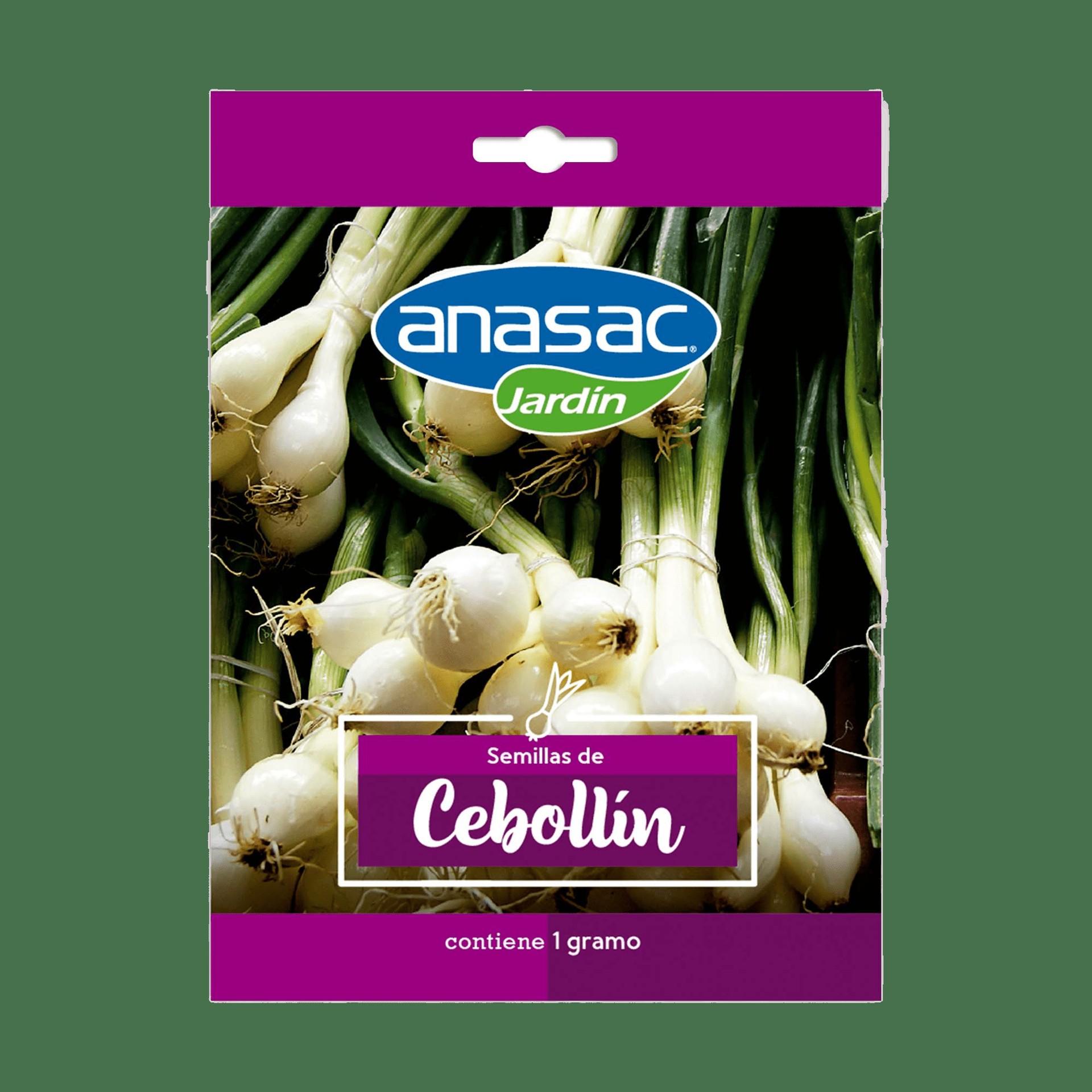 SEMILLA CEBOLLIN 1 G