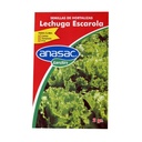 SEMILLA LECHUGA ESCAROLA 5 G