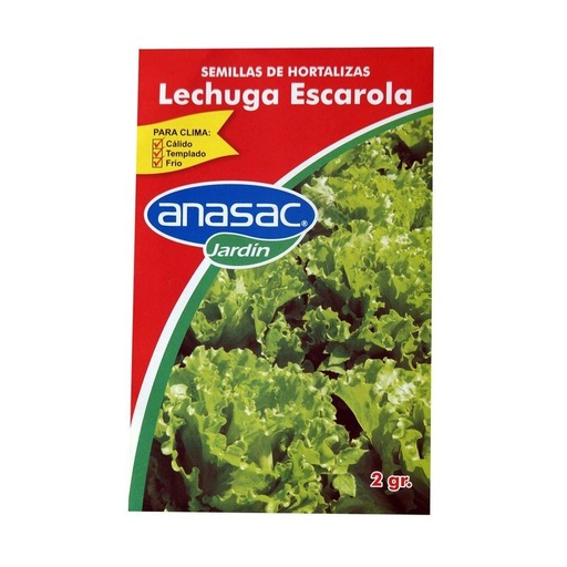 SEMILLA LECHUGA ESCAROLA 5 G