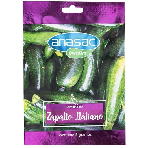 SEMILLA ZAPALLO ITALIANO 5 G