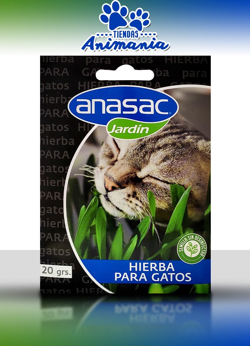 SEMILLA HIERBA GATOS 20 G