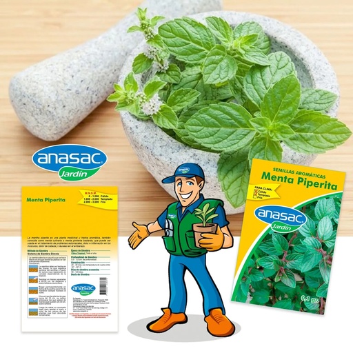 SEMILLA INFUSIÓN MENTA 0,5 G