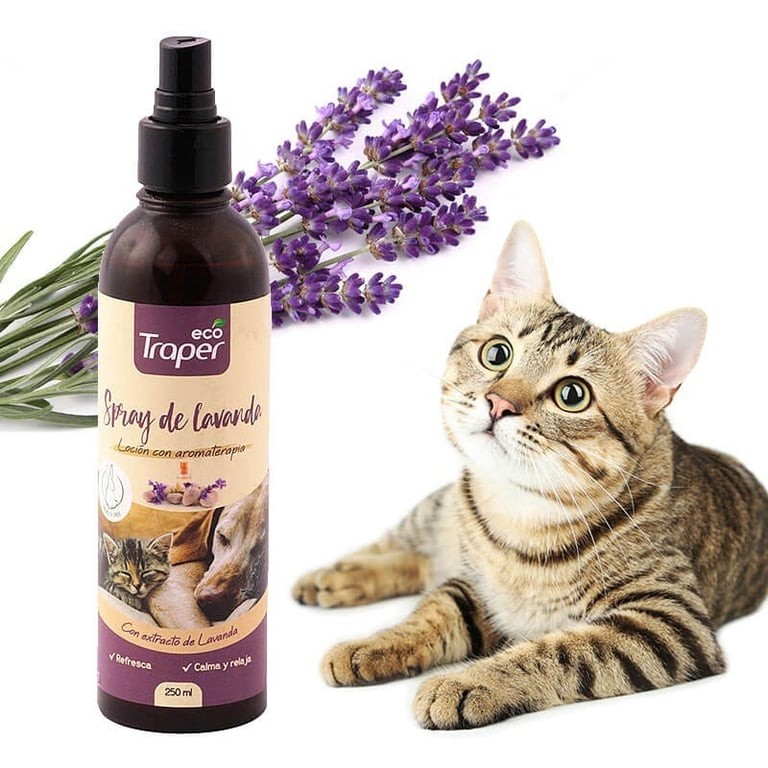 SPRAY DE LAVANDA 250 ML