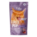 SNACK LOLLIPOP CRANBERRY 3 UNIDADES