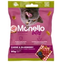 SNACK LOLLIPOP ARANDANO 3 U